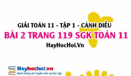 Giải bài 2 trang 119 Toán 11 tập 1 SGK Cánh Diều